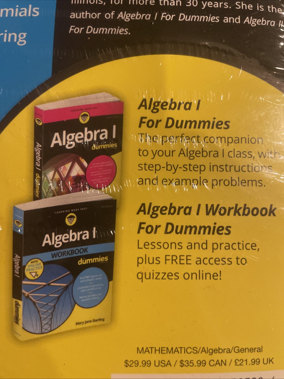 ALGEBRA 1 FOR DUMMIES AND ALGEBRA 1 WORKBOOK FOR DUMMIES BOOK SET