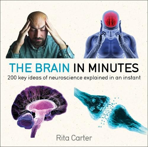 Rita Carter The Brain in Minutes (Paperback) In Minutes (UK IMPORT)